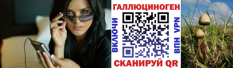 Галлюциногенные грибы ЛСД  где найти   Судогда 